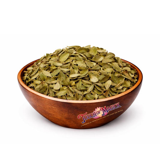 Uva Ursi | Arcostaphylos Uva Ursi | 0.5 Ounces | Traditional Herb Supplier & Manufacturer | Use in Spell Bottles, Mojo Bag |