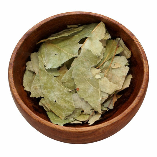 Sassafras | Sassafras Albidoum | 0.5 oz | Traditional Herb Supplier & Manufacturer | Spell and Ritual Supplies