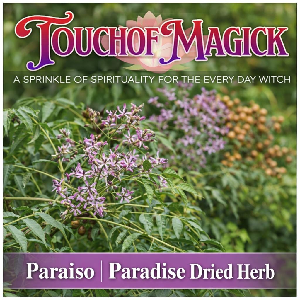Paraiso (Paradise) Dried Herb Cut | 0.5 oz | Traditional Herb Supplier & Manufacturer | Santeria | Hoodoo | Spell and Ritual Supplies
