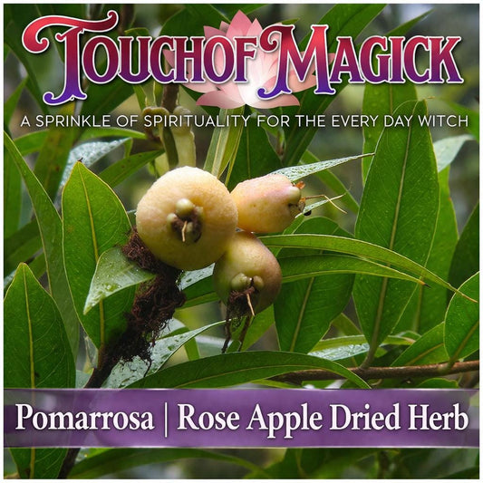 Pomarrosa | Dried Herb | 0.5 Ounces | Santeria | For Baths, Home & Spiritual Cleansing | Ewe | Lukumi | Voodoo | Hoodoo