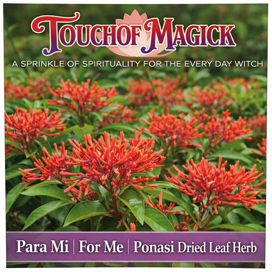 Para Mi | For Me Dried Herb | 0.5 Ounces | Traditional Herb Supplier & Manufacturer | Use in Candles or Spiritual Bath |