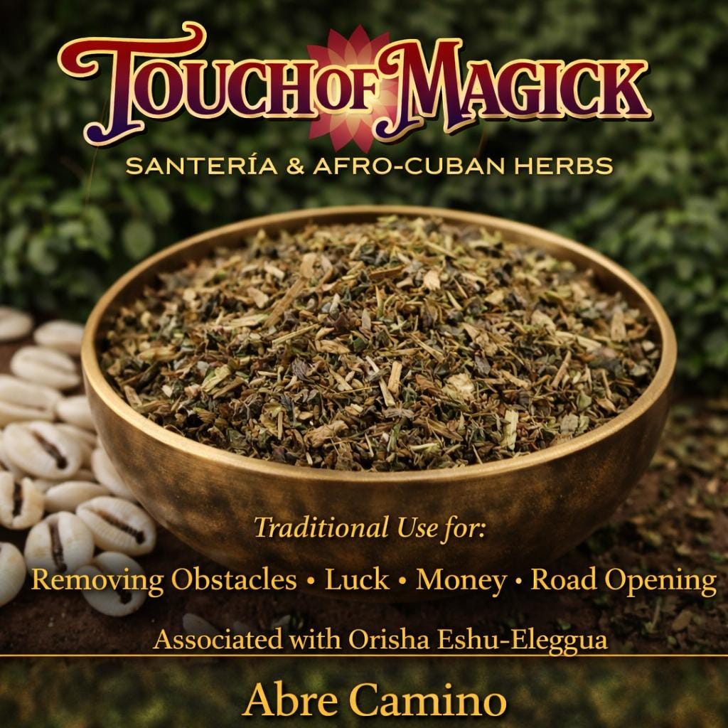 Abre Camino | Road Opener Dried Herb | 0.5 Ounces | Traditional Herb Supplier & Manufacturer | Santeria | Hoodoo | Voodoo | Spell Supplies