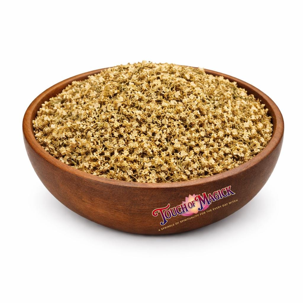 Elder Flowers | Flores de Sauco | Dried | 0.5 Ounces | Traditional Herb Supplier & Manufacturer | Pagan |