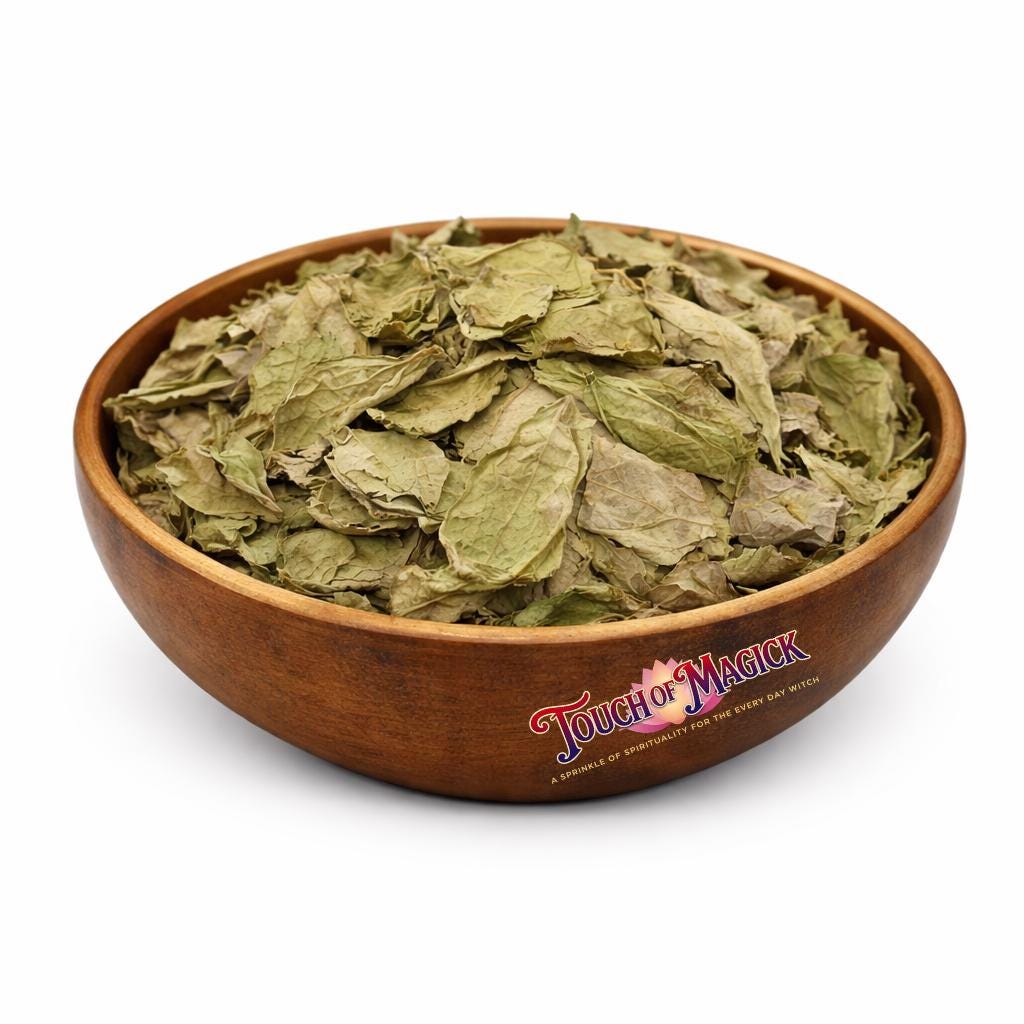 Ewe Bomubomu | Sodom Apple Leaf | Dried Herb Cut | 0.5 Ounces | Traditional Herb Manufacturer and Supplier | Santeria | Spell Supplies