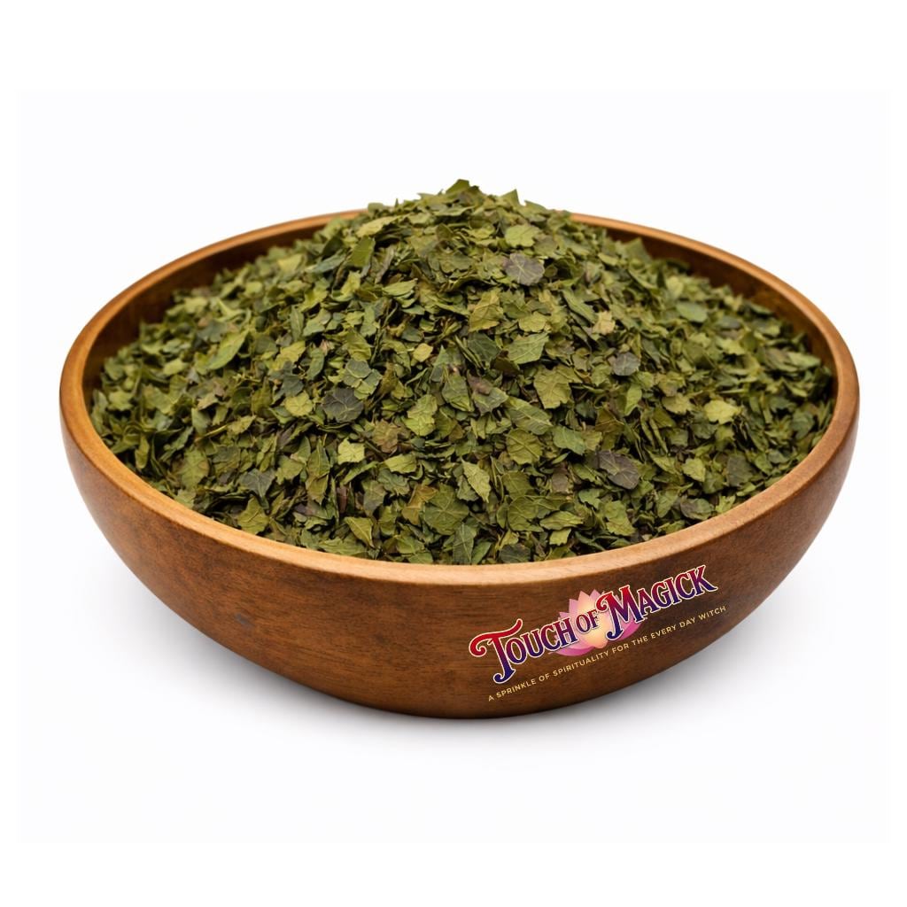 Almendra | Tropical Almond | Terminalia Catappa | Traditional Herb Manufacturer and Supplier | 0.5 Oz