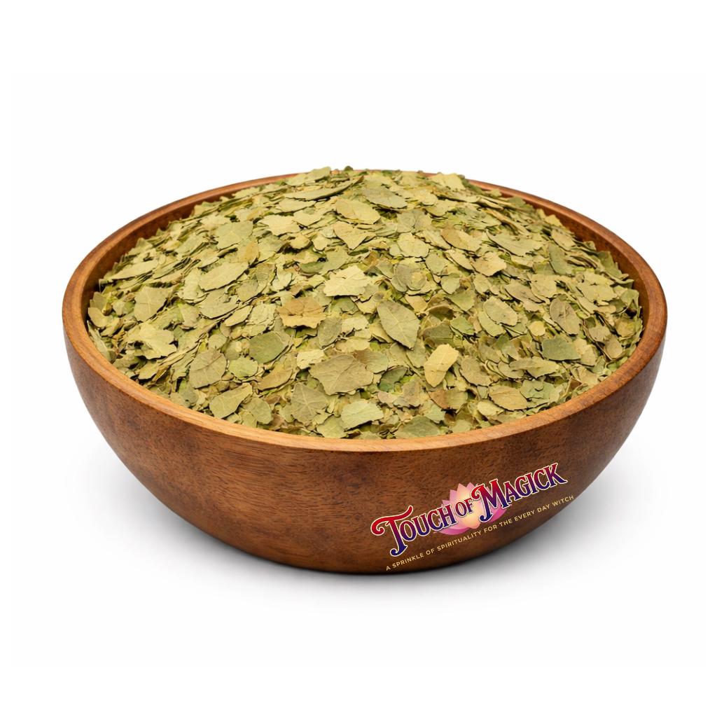 Bay Leaf | Laurus Nobilis | Cut | 0.5 Oz | Traditional Herb Supplier & Manufacturer