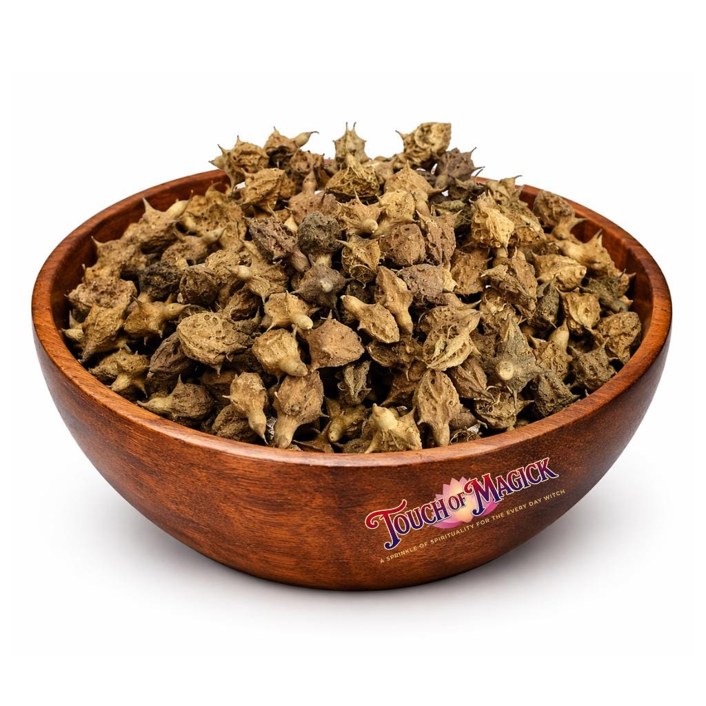 Caltrops | Puncture Vine | Tribulus Fruit | Dried | 0.5 Ounces | Traditional Herb Supplier & Manufacturer | Pagan |