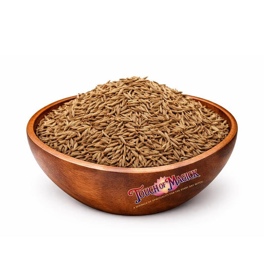 Caraway Seeds | Carum Carvi | 0.5 Ounces | Spell Supplies | Traditional Herb Supplier & Manufacturer