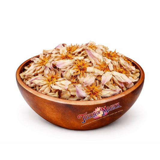 White Lotus | Dried | 0.5 Ounces | Traditional Herb Supplier & Manufacturer | Pagan |