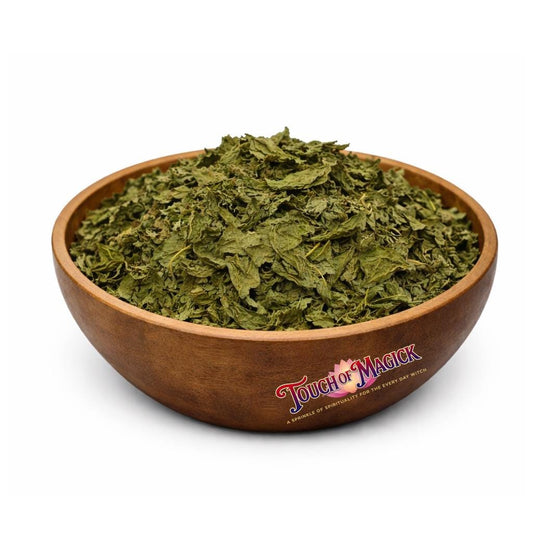 Pendejera | Turkey Berry | Solanum torvum | Dried | 0.5 Ounces | Traditional Herb Supplier & Manufacturer | Pagan |