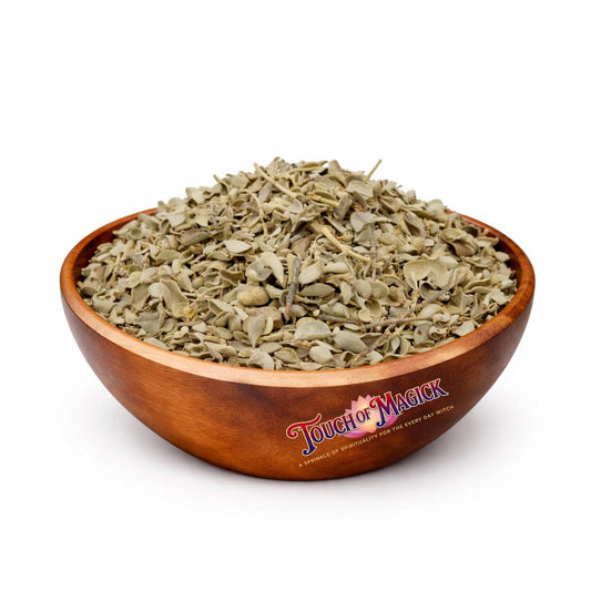 Cenizo | Texas Sage | Dried | 0.5 Ounces | Traditional Herb Supplier & Manufacturer | Pagan |