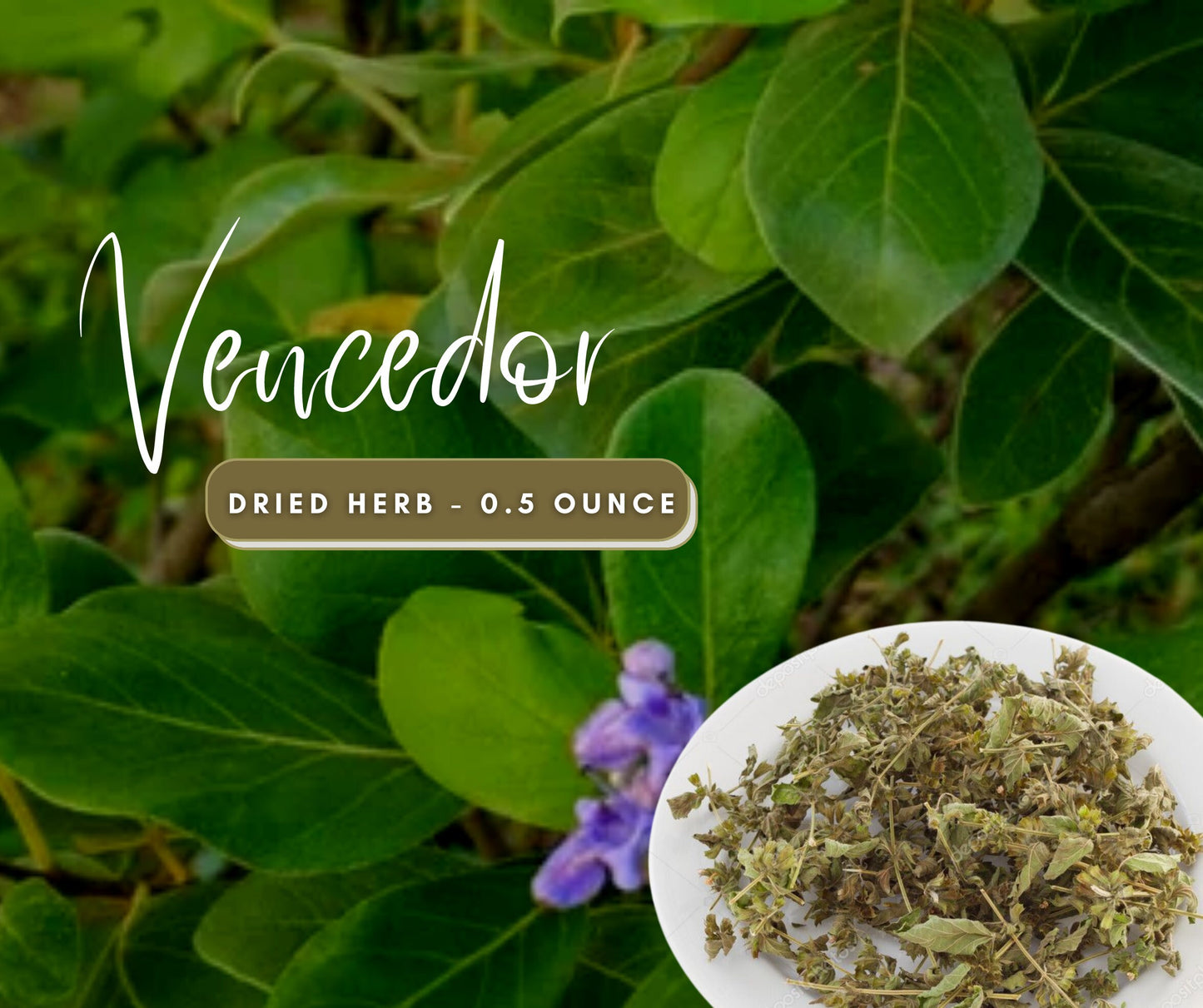 Vencedor / Winner Dried Herb to Win Spiritual Battles and Court Cases - Use for Manifestation Work and to Dominate outcomes to your Favor