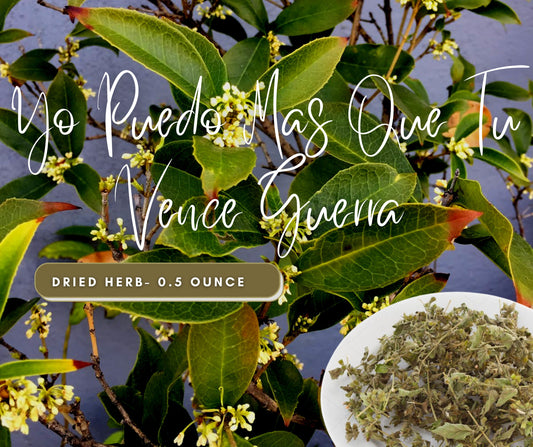 Vence Guerra LEGITIMATE Dried Herb - Strong Cleansing, Break Obstacles, Court - Use in Candles or Spiritual Bath - Natural Cleansing Herb