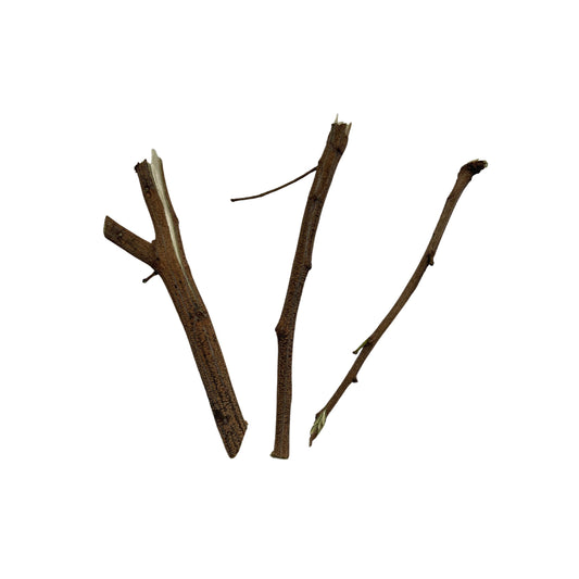 Quita Maldicion / Curse Remover - Grey Knickers Plant LEGITIMATE Sticks - Remove Curses and Spells - Contains 0.2 Ounces - Santeria - Voodoo