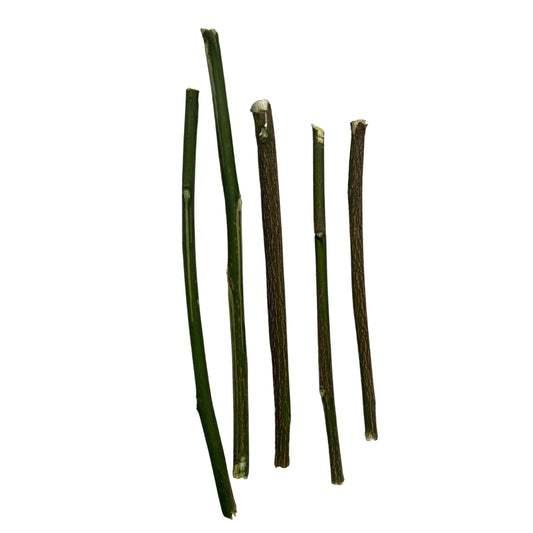 Siguaraya (Rompe Camino) Sticks - Destroys Evil Spirits and Hexes, Opens Roads towards Prosperity Removing Obstacles - Contains 0.2 Oz