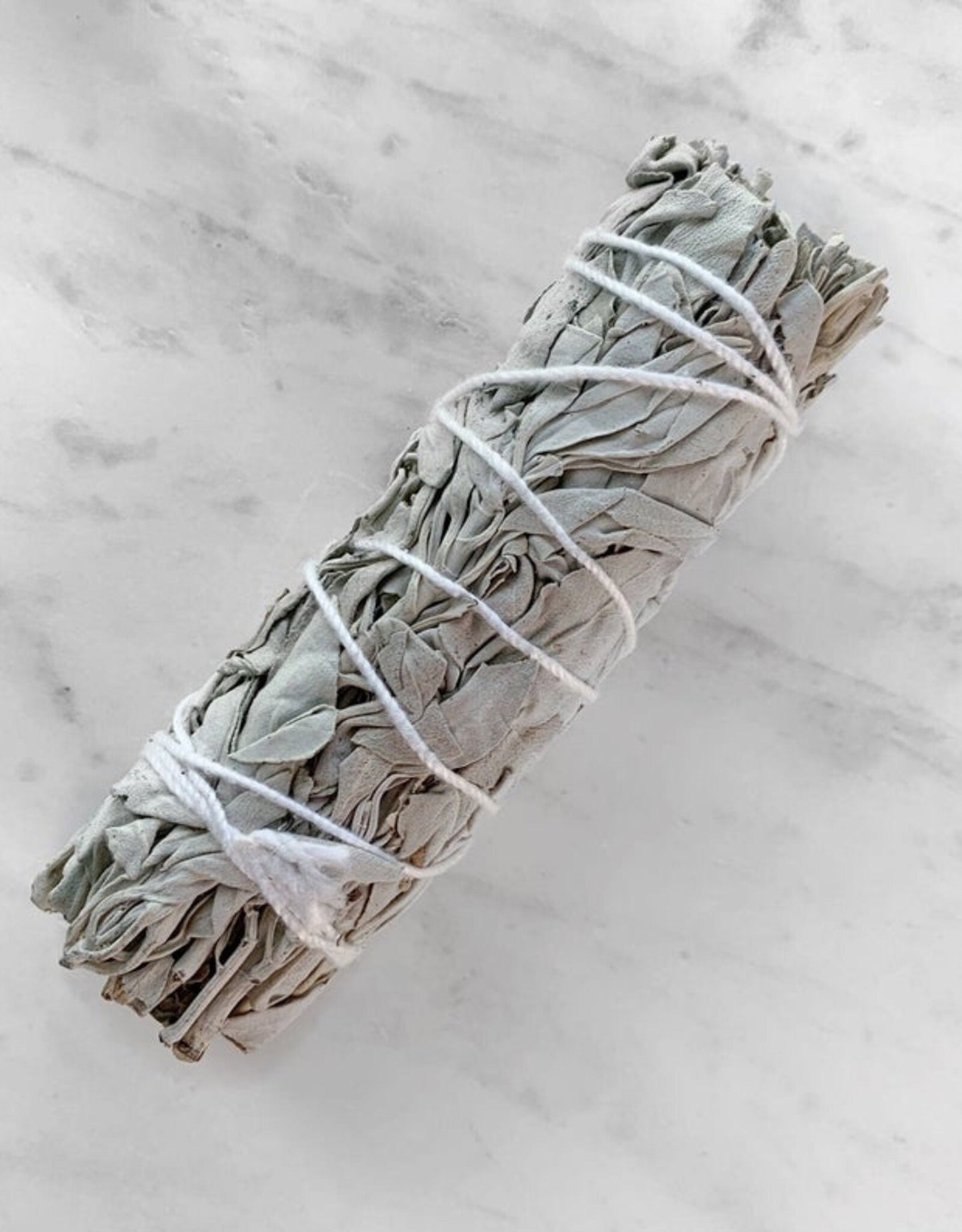 White Sage 8” Large Bundle