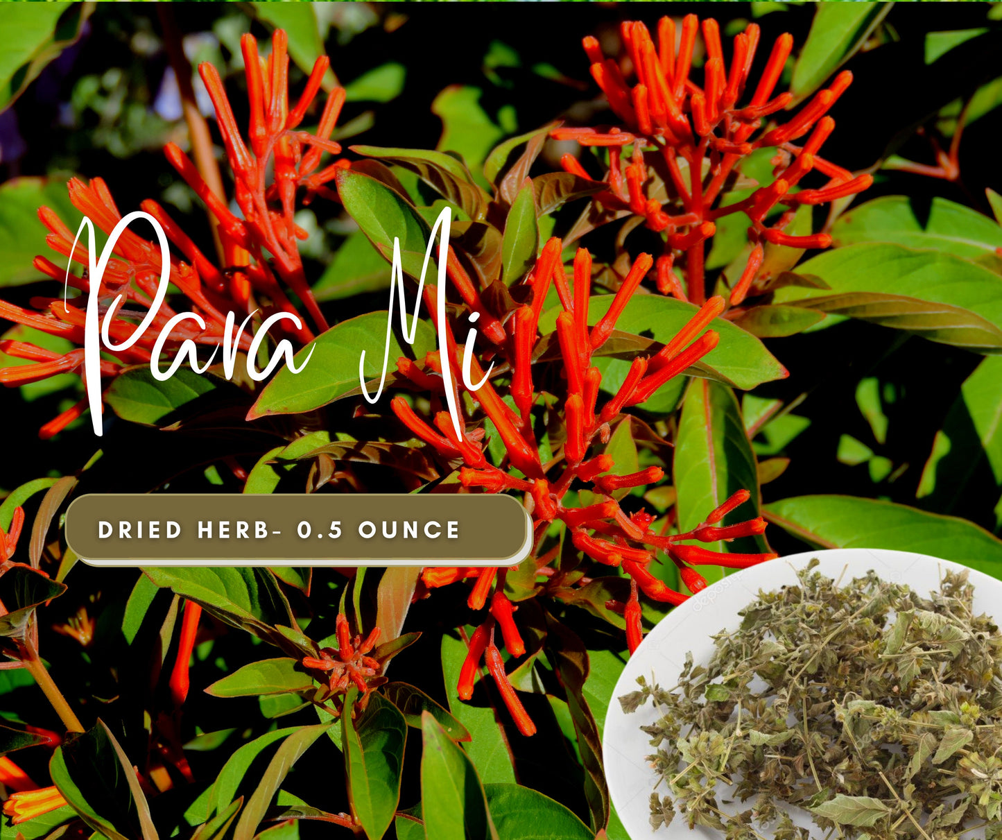 Para Mi / For Me LEGITIMATE Dried Herb - Love, Domination & Attraction Spells - Use in Candles or Spiritual Bath - Natural Cleansing Herb