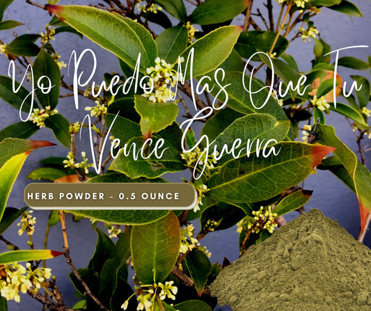 Vence Guerra LEGITIMATE Herb Powder Remove Obstacles, Win Court Cases, Prosperity  - Use in Candles or Floor Sweeps - Natural Cleansing Herb