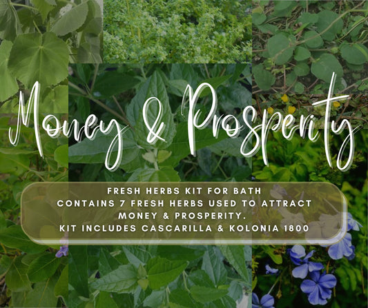 Money & Prosperity Herb Kit - Contains 7 Fresh Herbs to Attract Wealth, Positive Vibrations, Income and Wellbeing - Powerful Herbal Bath