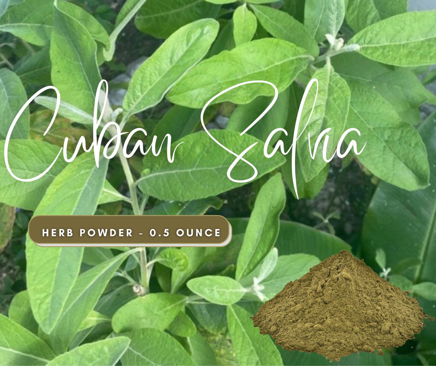 Salvia / Cure for All LEGITIMATE Herb Powder to Remove Curses and Spells - Use in Candles or Floor Sweeps - Natural Cleansing Herb