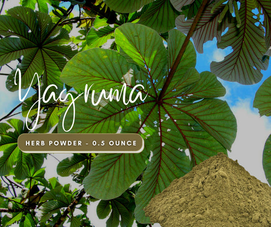 Yagruma LEGITIMATE Herb Powder - Remove Curses, Evil Eye & Envy - Use in Candles or Spiritual Bath - Natural Cleansing Herb