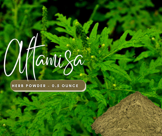 Altamisa LEGITIMATE Herb Powder - Remove Home Cleansing Herb - Boost Intuition - Use in Candles or Spiritual Bath - Natural Cleansing Herb