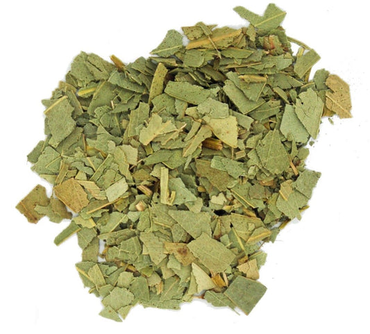 Eucalyptus | Eucalyptus Globulus | 0.5 Ounces | Used for Protection | Use in Spell Bottles, Mojo Bags | Witch Herbs