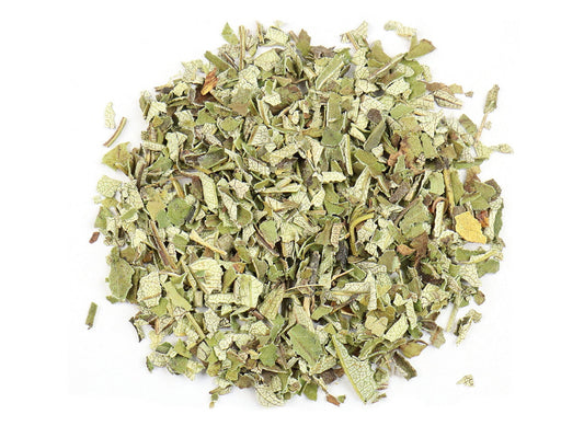 Yerba Santa | Eriodictyon Californicum | 0.5 Ounces | Used for Protection & Cleansings | Use in Spell Bottles, Mojo Bags | Witch Herbs